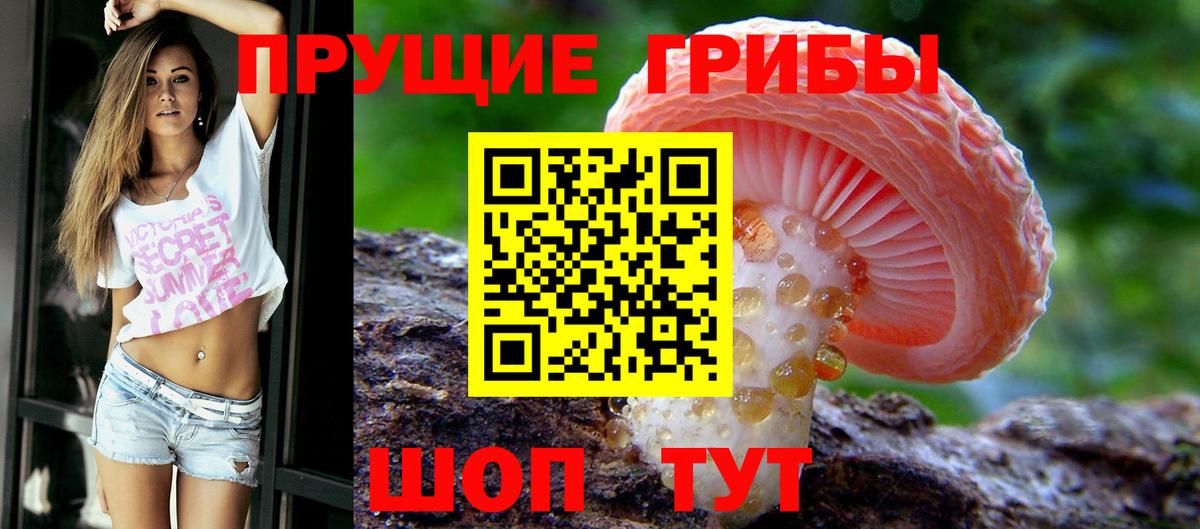 Псилоцибиновые грибы Psilocybe  Галлюциногенные грибы мухоморы  дарнет шоп  Обь  Вход с VPN 
