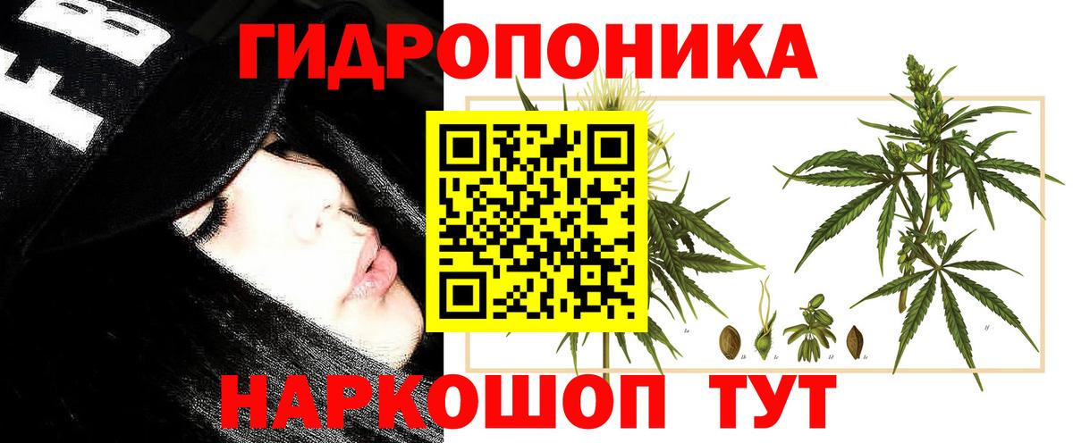 Обь  Шишки марихуана VHQ  Вход с VPN  МАРИХУАНА сатива  Бошки марихуана Bruce Banner 